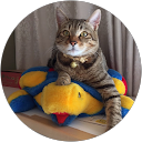 ホソイショウゾウ ホソイショウゾウ