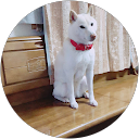 鈴木しろまる 鈴木しろまる