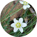 下島優香子 下島優香子