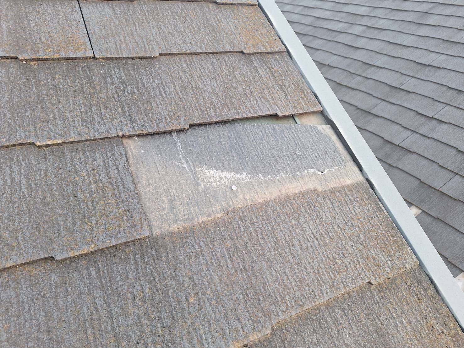 【足立区　屋根補修工事】小さな異変も見逃さない！深井塗装の技術力！