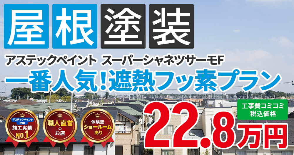 ラジカルプラン塗装 22.80万円