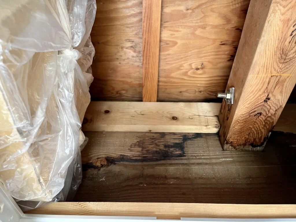 雨漏りしている天井裏の写真