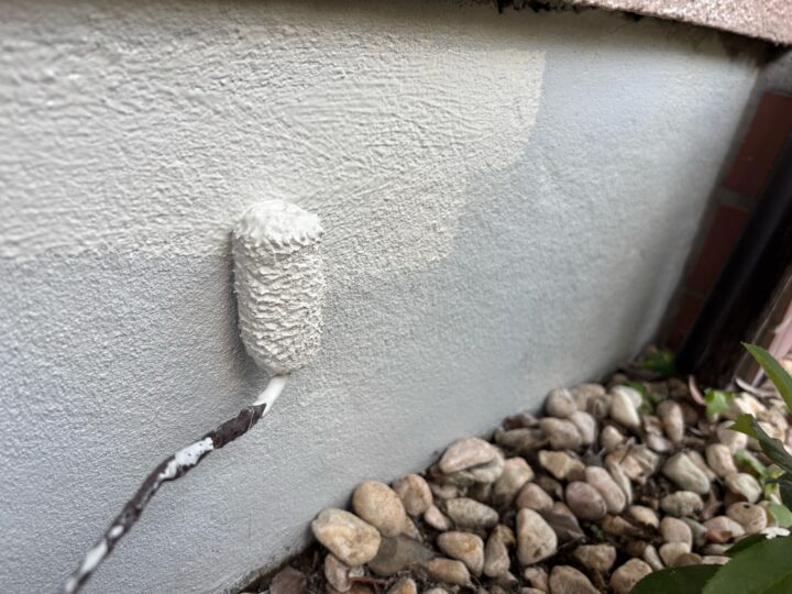 基礎コンクリート 上塗り