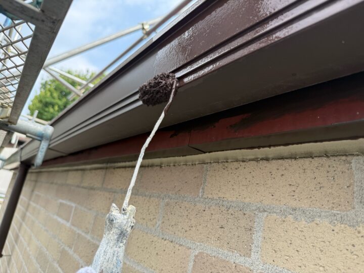 付帯部 雨樋 上塗り(ユメロックDX)