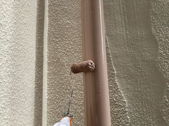 付帯部 雨樋 上塗り(ユメロックDX)