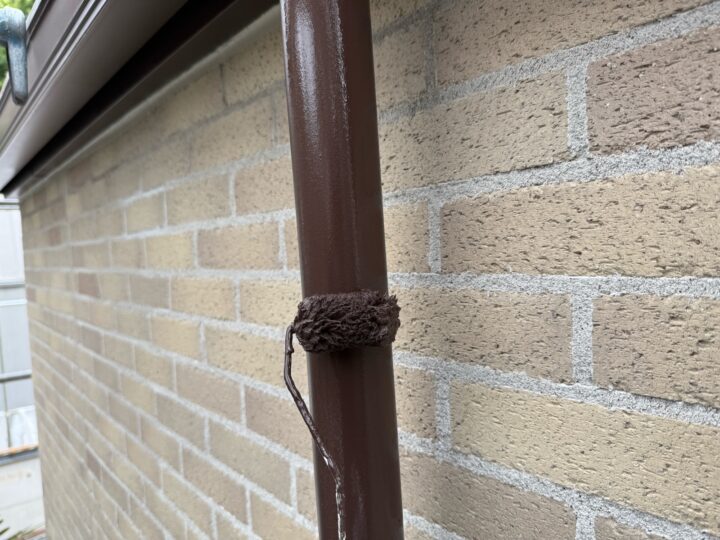 付帯部 雨樋 上塗り(ユメロックDX)