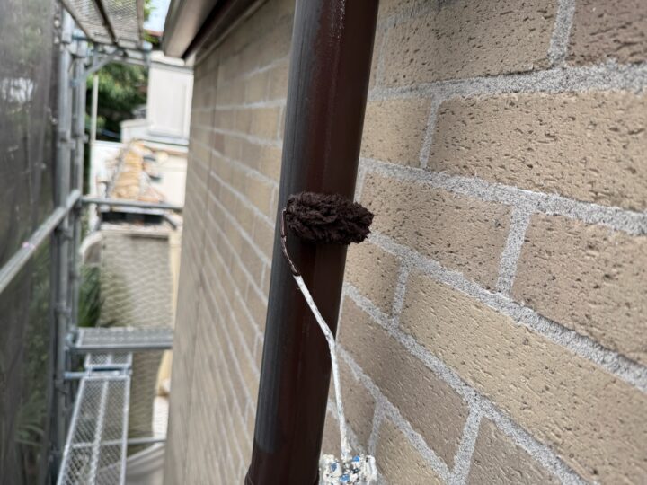 付帯部 雨樋 下塗り(ユメロックDX)