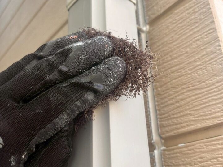 付帯部 雨樋 研磨