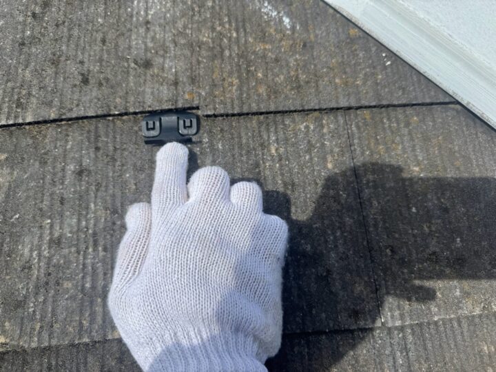 タスペーター挿入