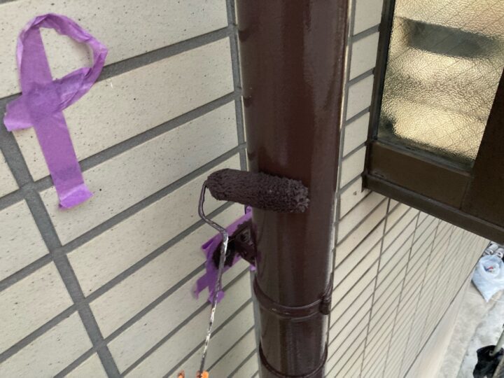 付帯部 雨樋 上塗り(ユメロックDX)