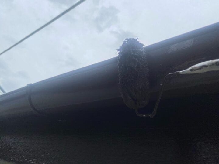 付帯部 横樋・鼻隠し 上塗り(ユメロックDX)