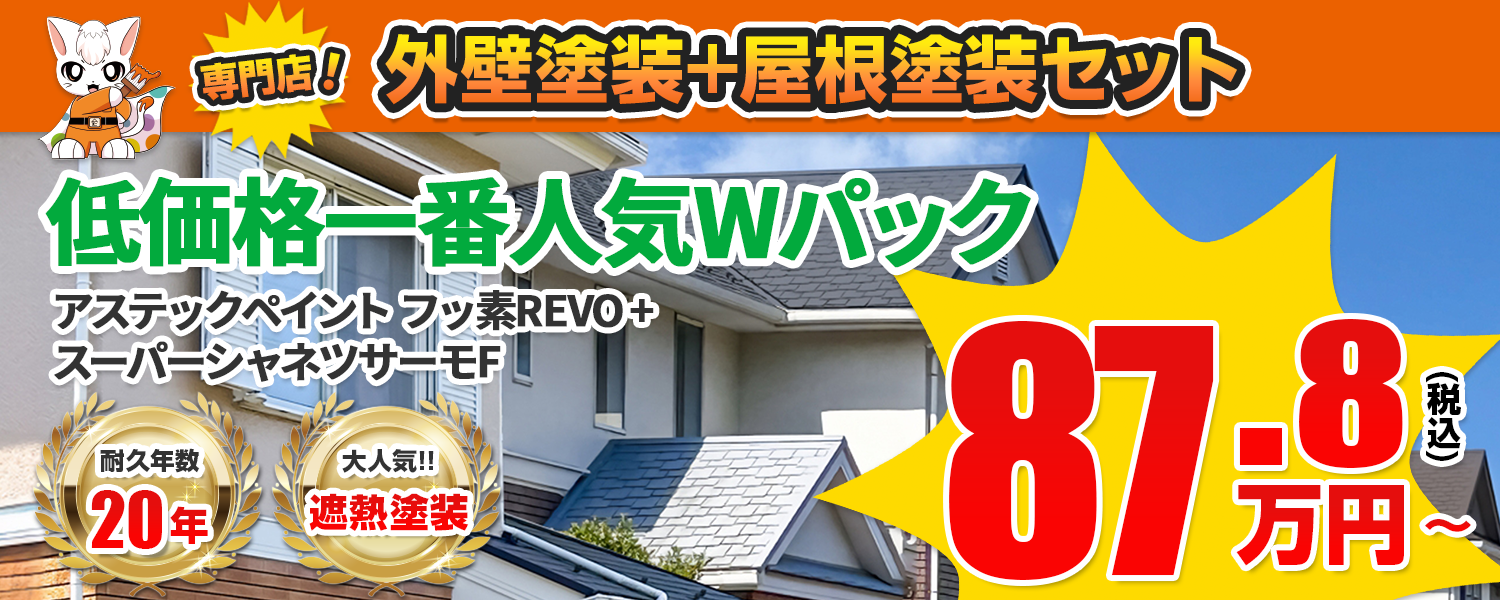 低価格一番人気Wパック
